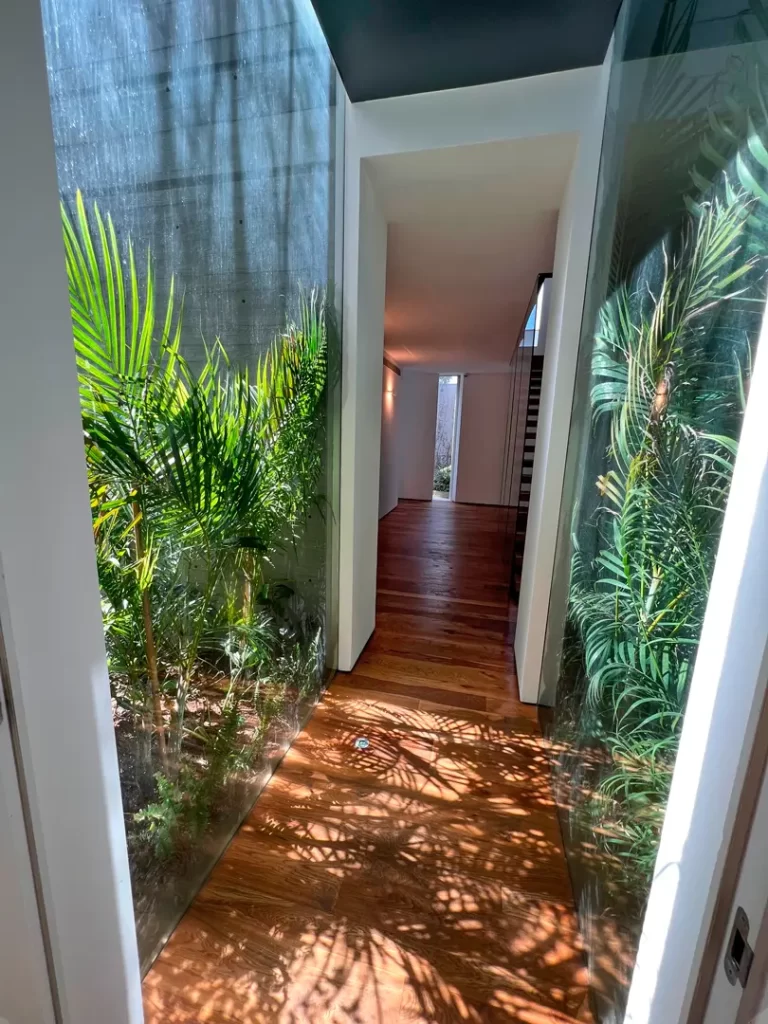 caesarae_tropical_19