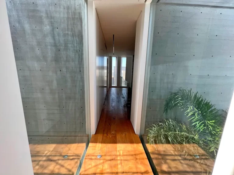 caesarae_tropical_37
