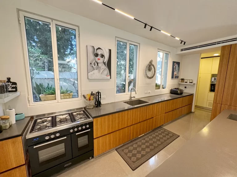 telaviv_tlv_villa_04